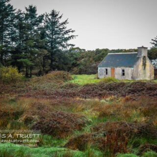 Cottage in the Irish Countryside