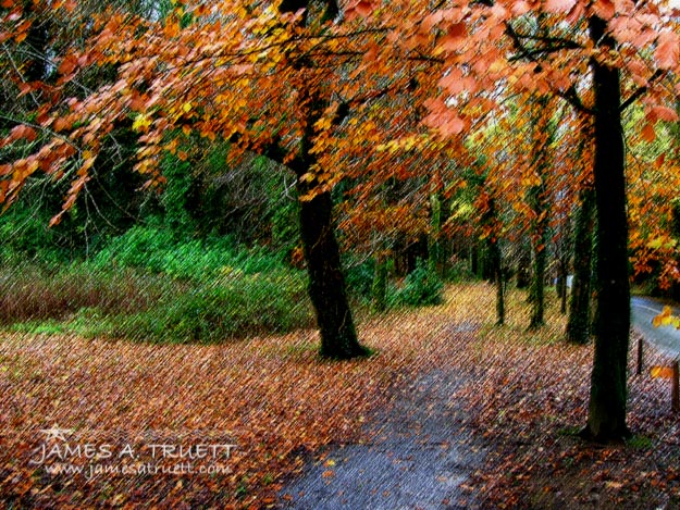 Autumn Entrance to Muckross House, Killarney