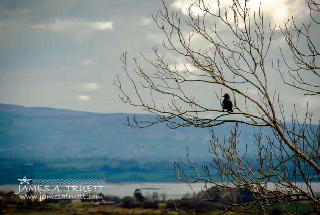 Bird's View of River Fergus in Ireland's County Clare