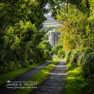 Path to Newtown Castle in Ireland's County Clare