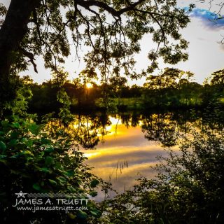 Shannon River Sunset at Roosky