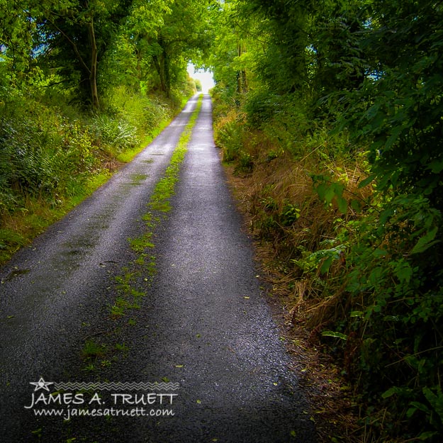 Irish Country Road in Summer