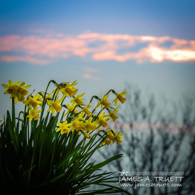 St. Patrick's Day Sunrise