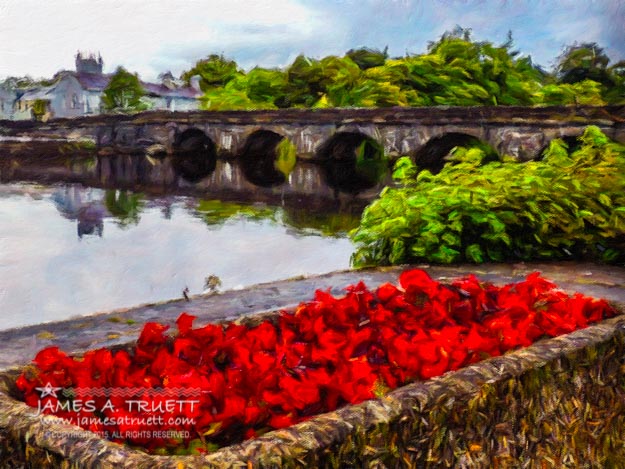 Flowers on the waterfront at Roosky, County Roscommon