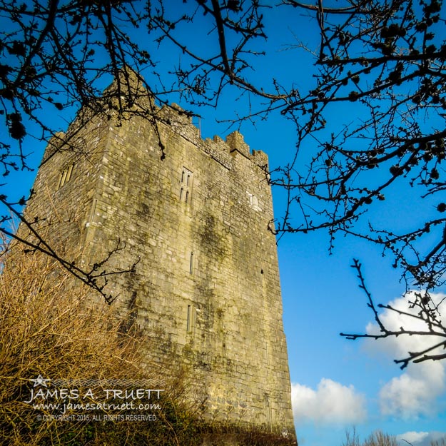 15th Century Dysert O'Dea Castle framed in Spring Tree Branches