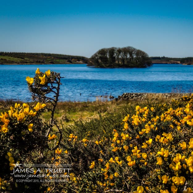 Springtime on Lake Knockalough