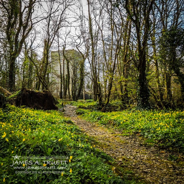 Peaceful Path to Yeats Tower