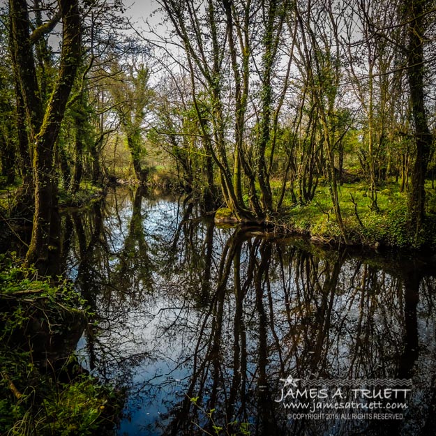 Reflections at Yeats Thoor Ballylee