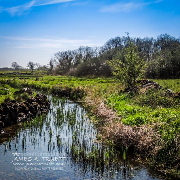 Battlefield of Dysert O'Dea