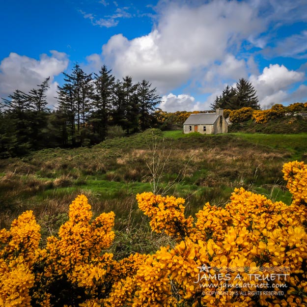 Irish Cottage in Spring near Kilrush in County Clare, Ireland.