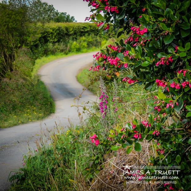 County Clare Country Road