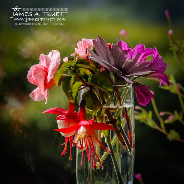 A collection of Irish summer flowers against the lush greenery of the County Clare countryside.