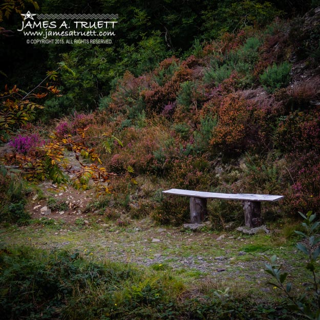 Rustic Bench in the Autumn Irish Countryside