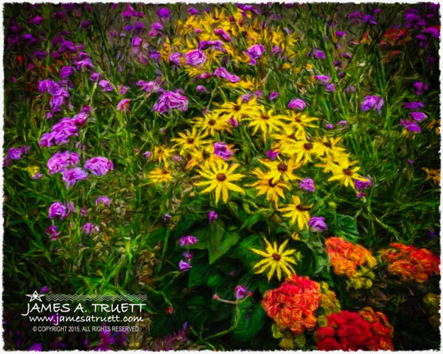 Flower Planter in Kilrush, County Clare, Ireland