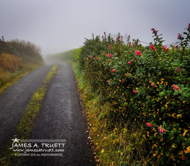 Irish County Road in Autumn