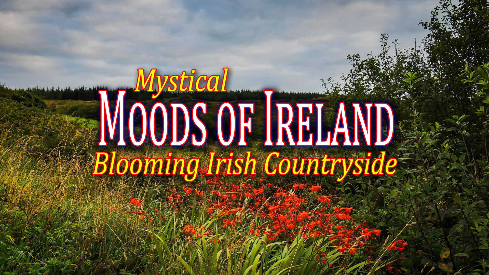 Blooming Irish Countryside video