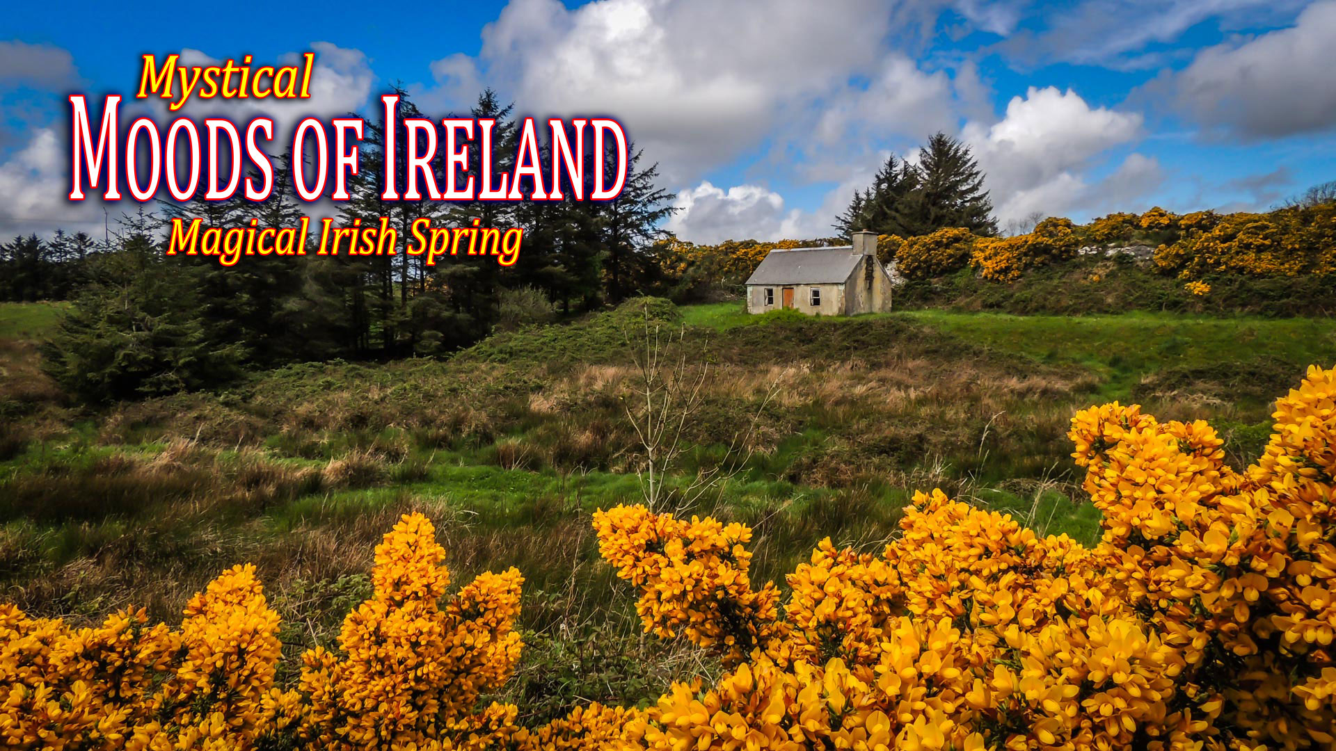 Magical Irish Spring video