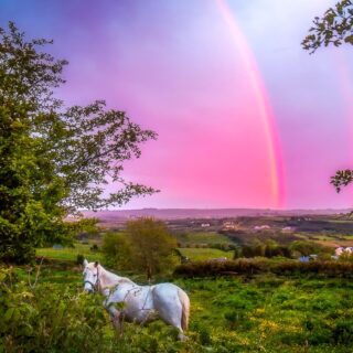 A Monochrome Rainbow at Sunset In County Clare