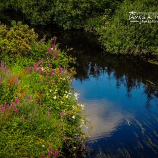 County Clare Stream