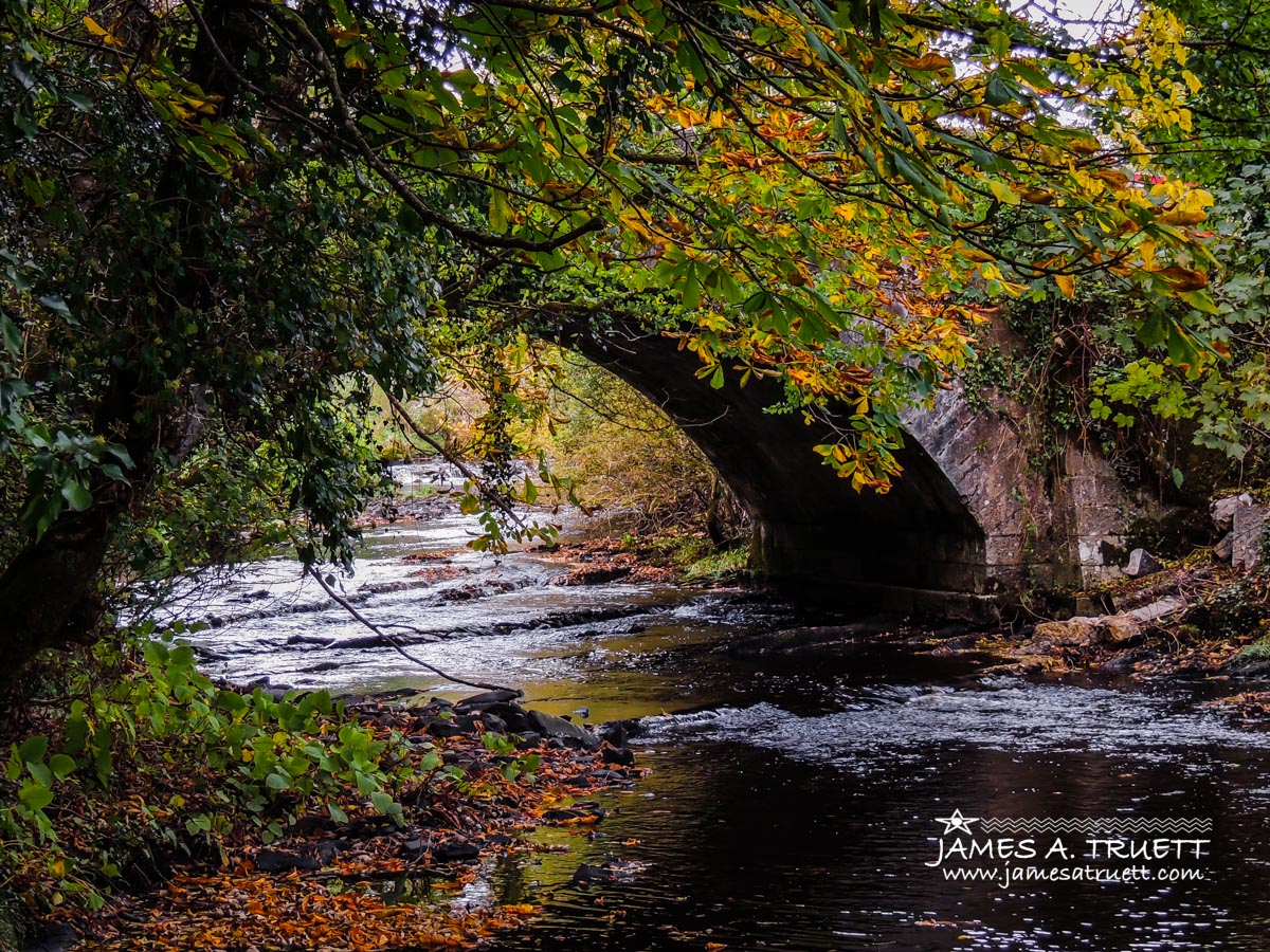 Serene Autumn Scene