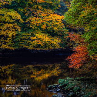 Autumn Reflections in Irish River