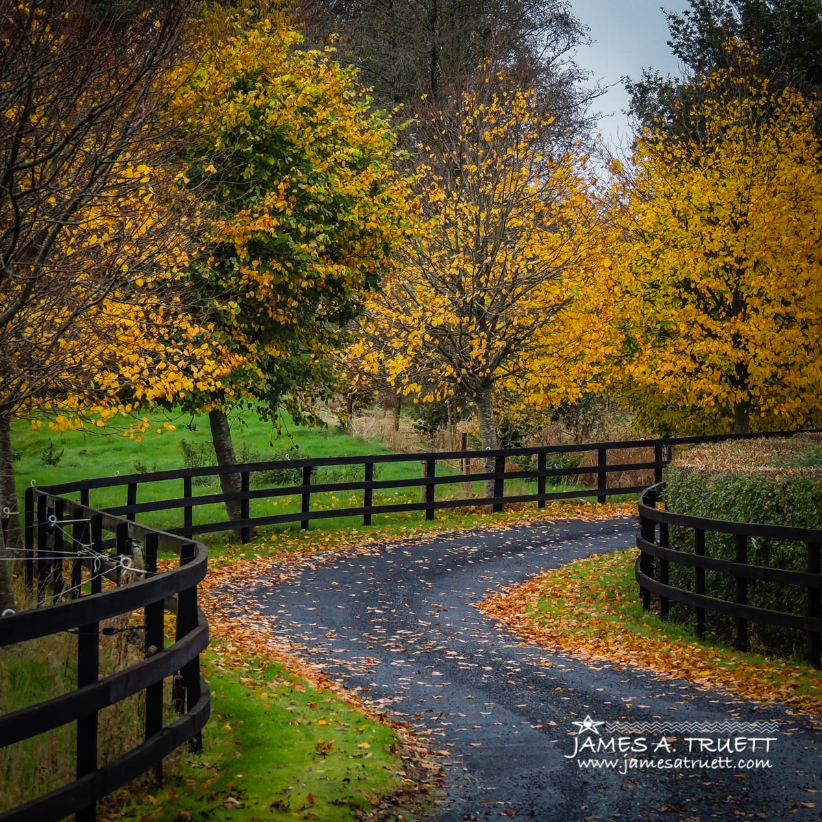 Autumn Drive in County Clare