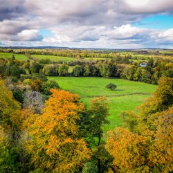 autumn palette in Ireland