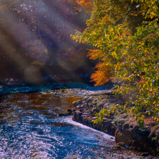 Autumn on the Cloon River