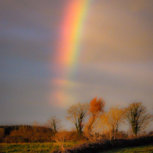 /Volumes/LaCie Rugged 2TB/JT/Documents/MOOW Project/Clan Newsletter/#19 Images/Rainbow over County Clare Countryside