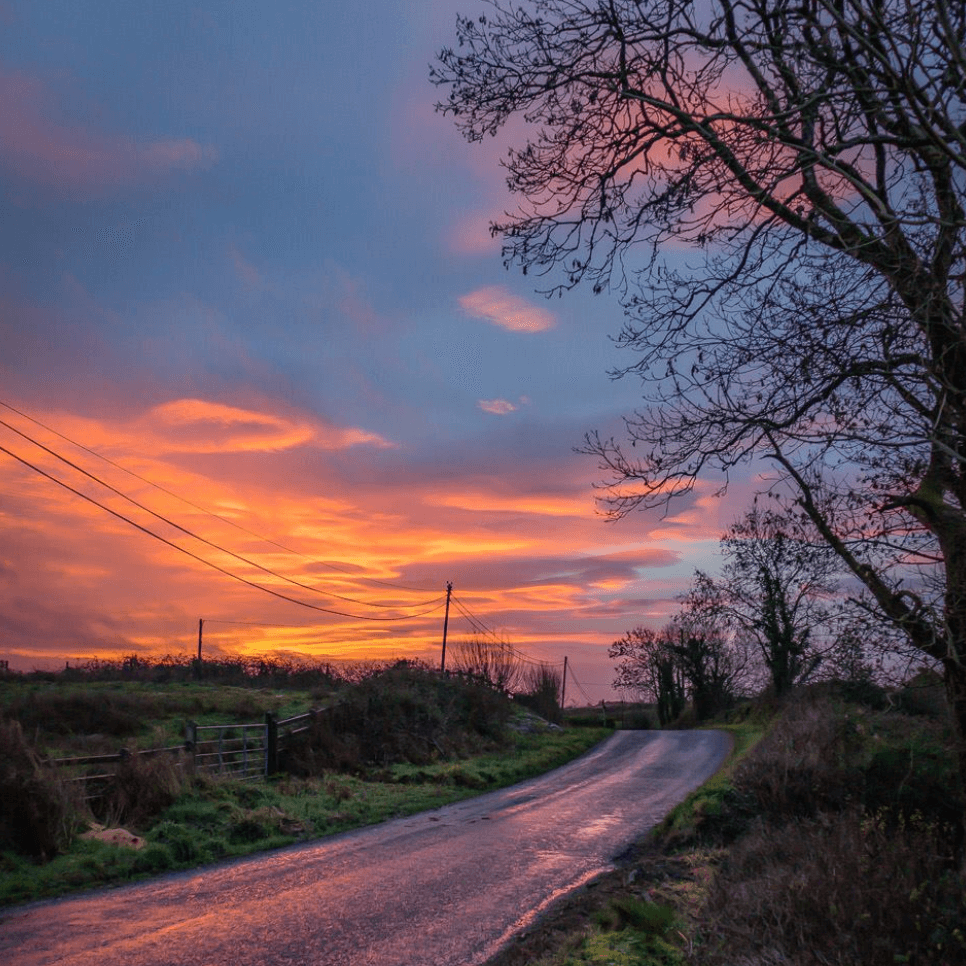 December Morning in County Clare