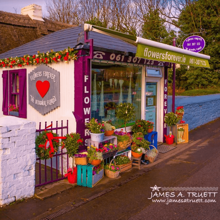 Lovely Flower Shop in Limerick (1)