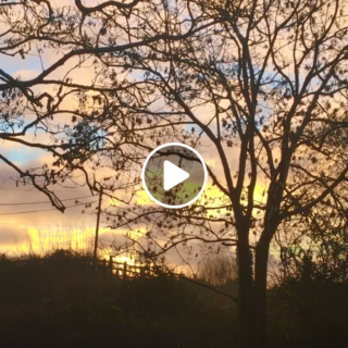 Sunrise with Stream and Birds (Video)