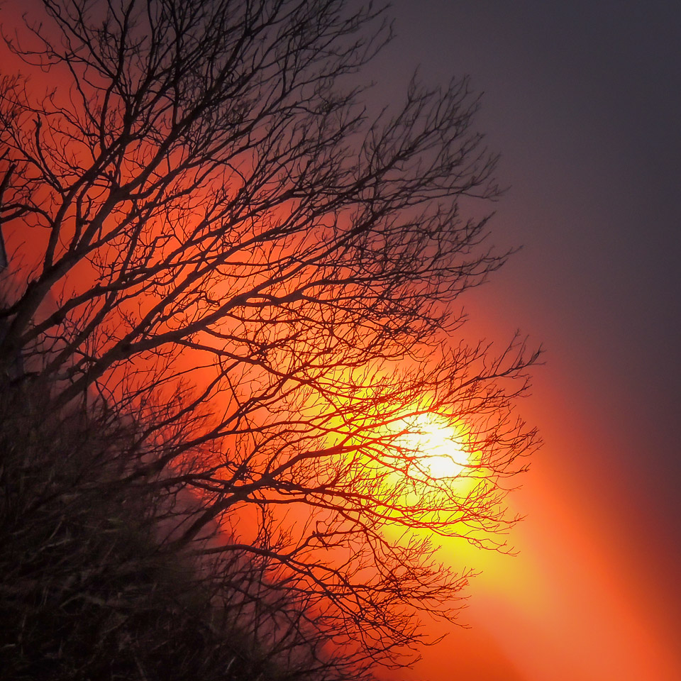 Crisp Winter Morning Sunrise in County Clare