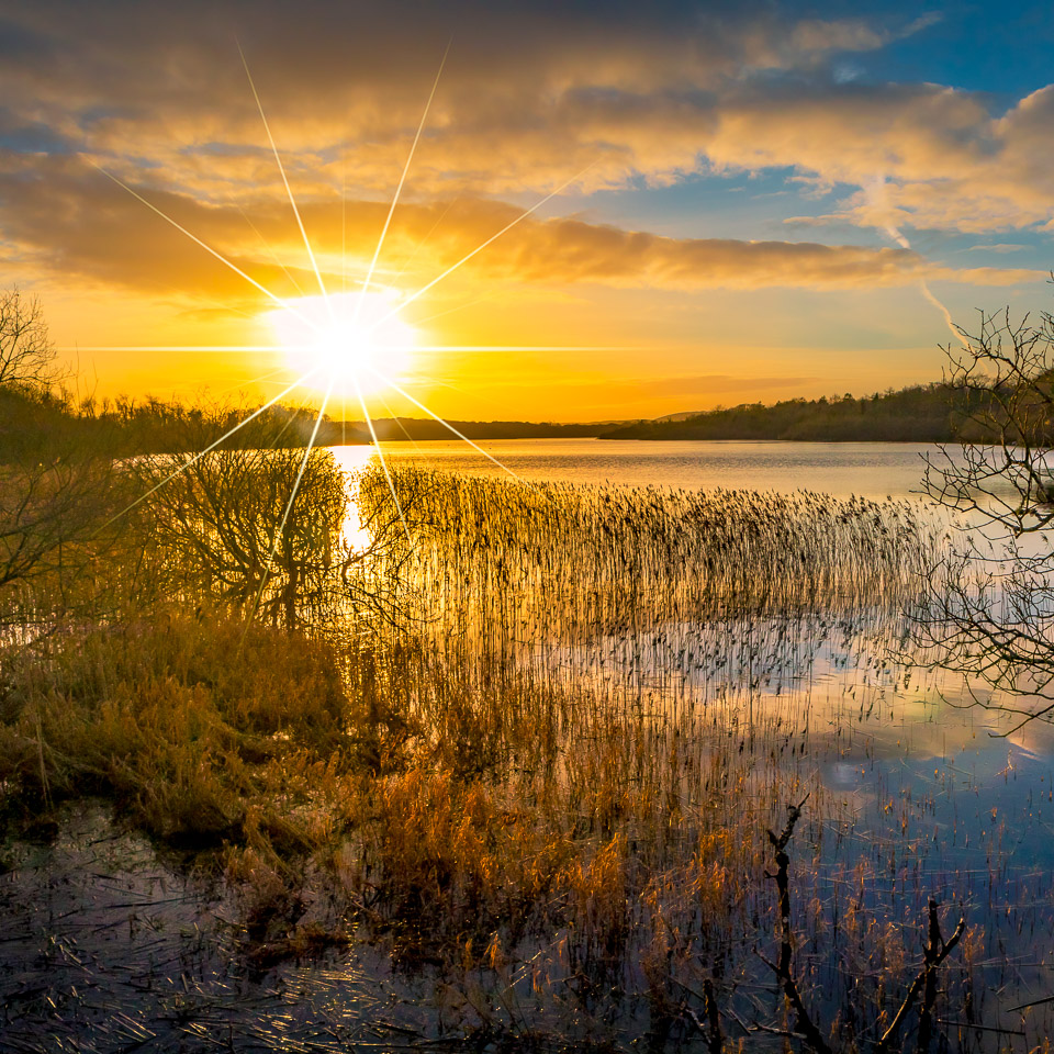 Reflections on the lough at Dromore Wood Nature Reserve 