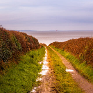 Country Road near Labasheeda