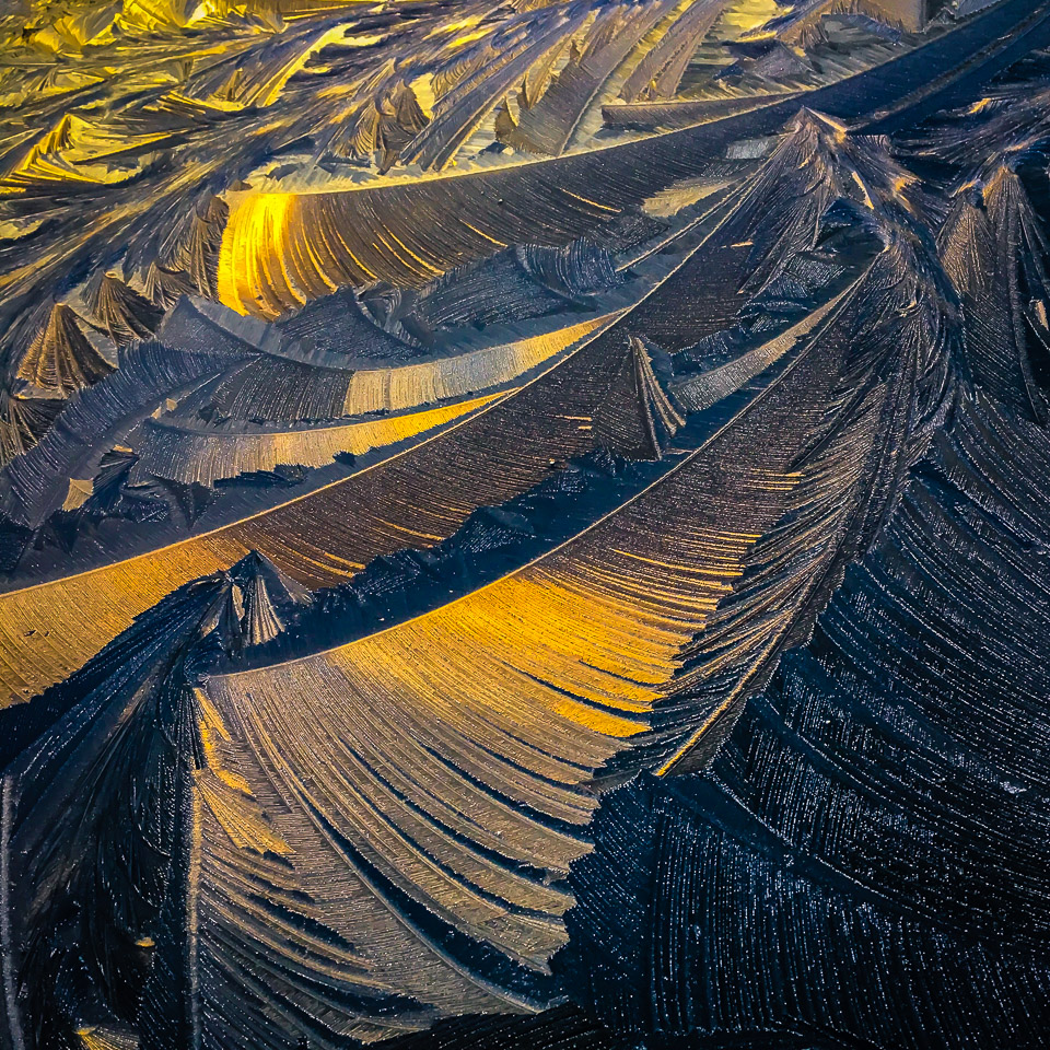 Frosty Artistry in the Irish Countryside