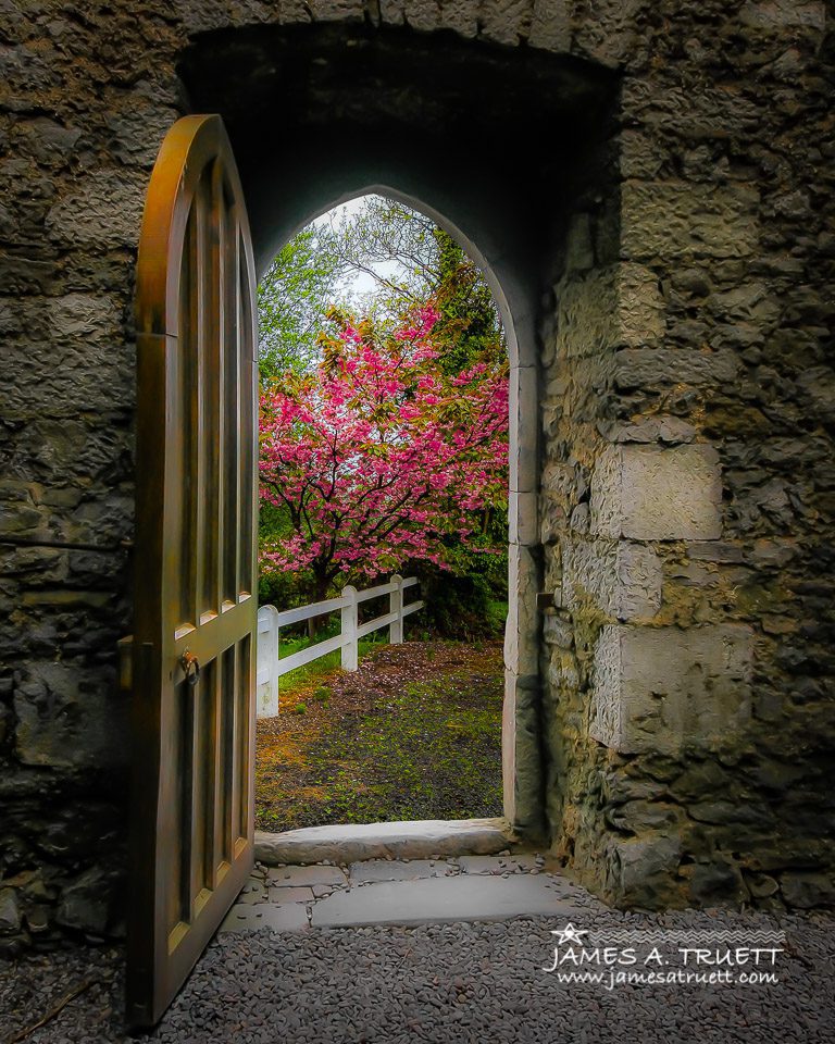 Into Irish Spring