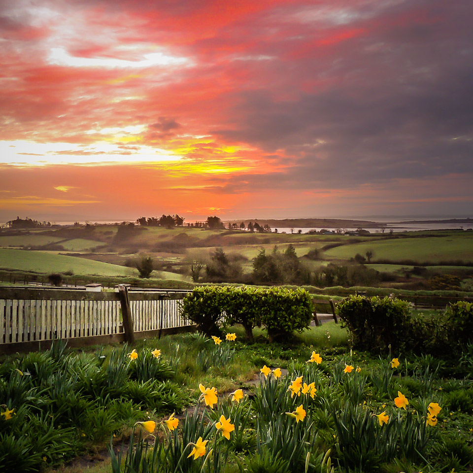 Spring Sunrise from 2017