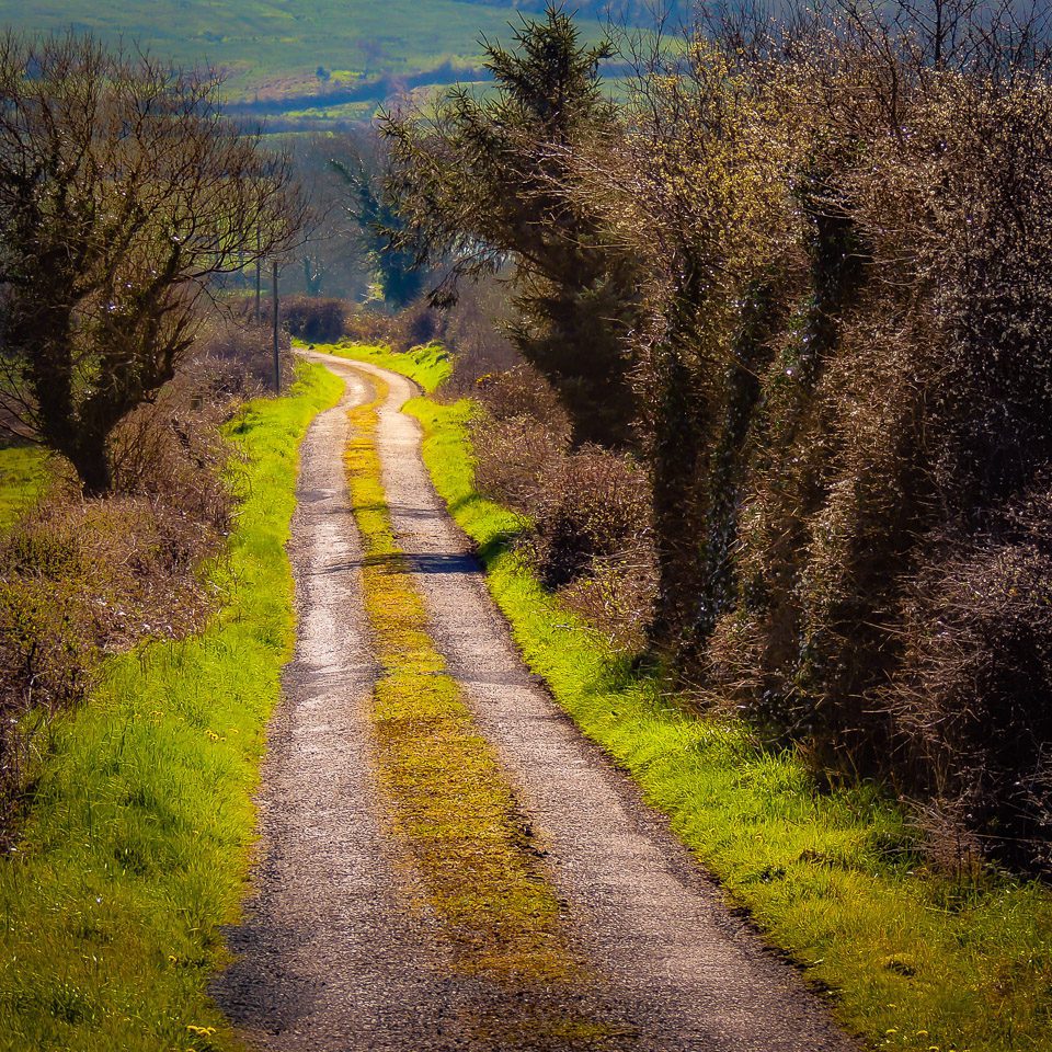 County Clare Country Road