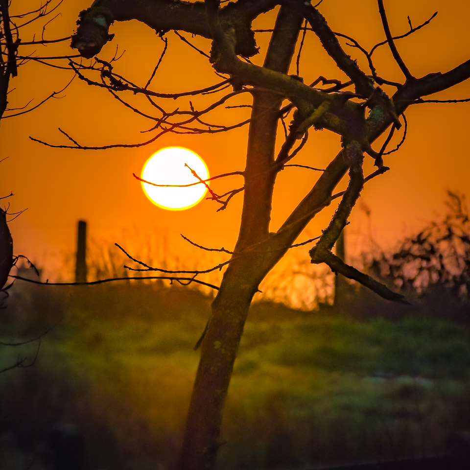 Sunrise through Morning Mist