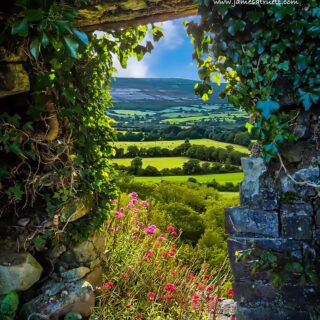 Secret Irish Garden