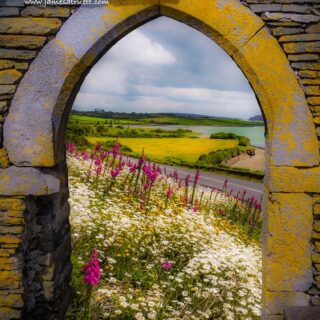 Along the Shannon Estuary