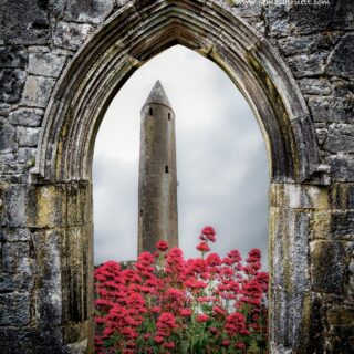 Kilmacduagh Round Tower in Summer