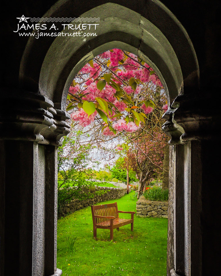 Medieval Abbey in Irish Spring