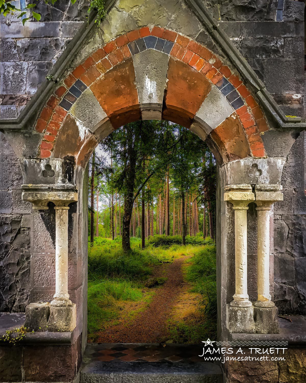 Portal to Portumna Forest