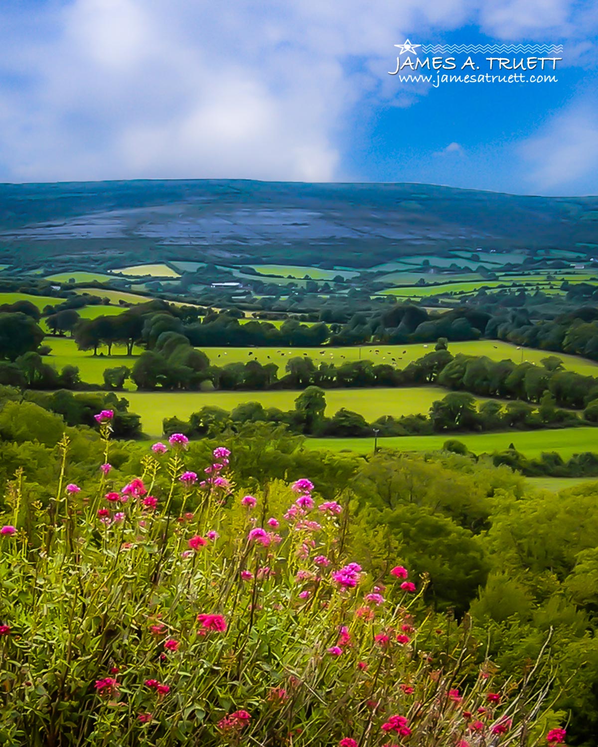 Burren Vista from Aillwee Cave