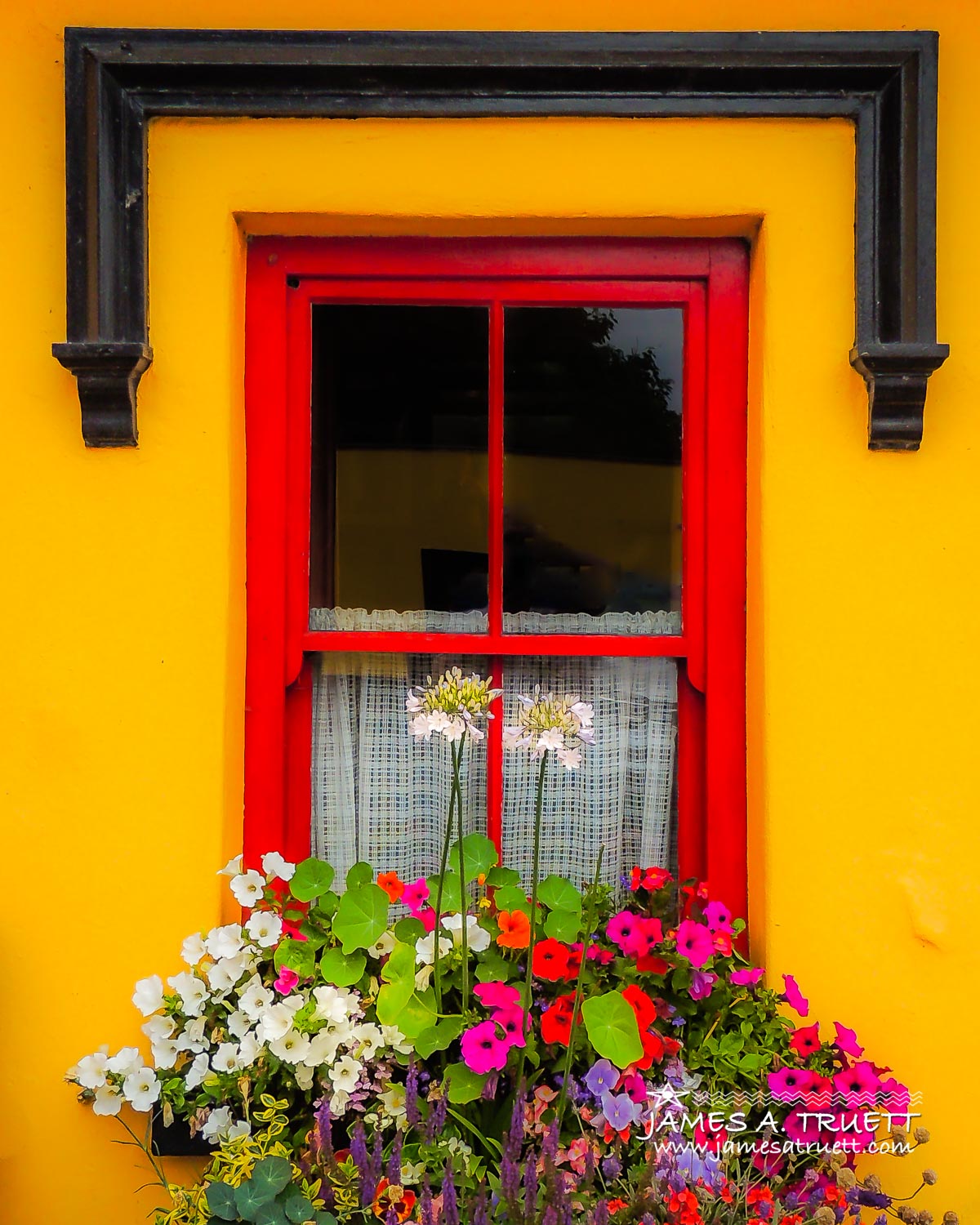 Windowbox at Fanny O’Dea’s Pub, Lissycasey