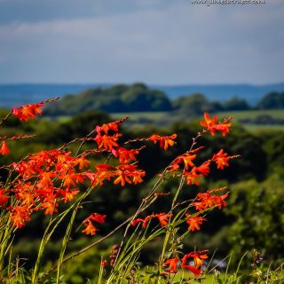 County Clare Summer Vista