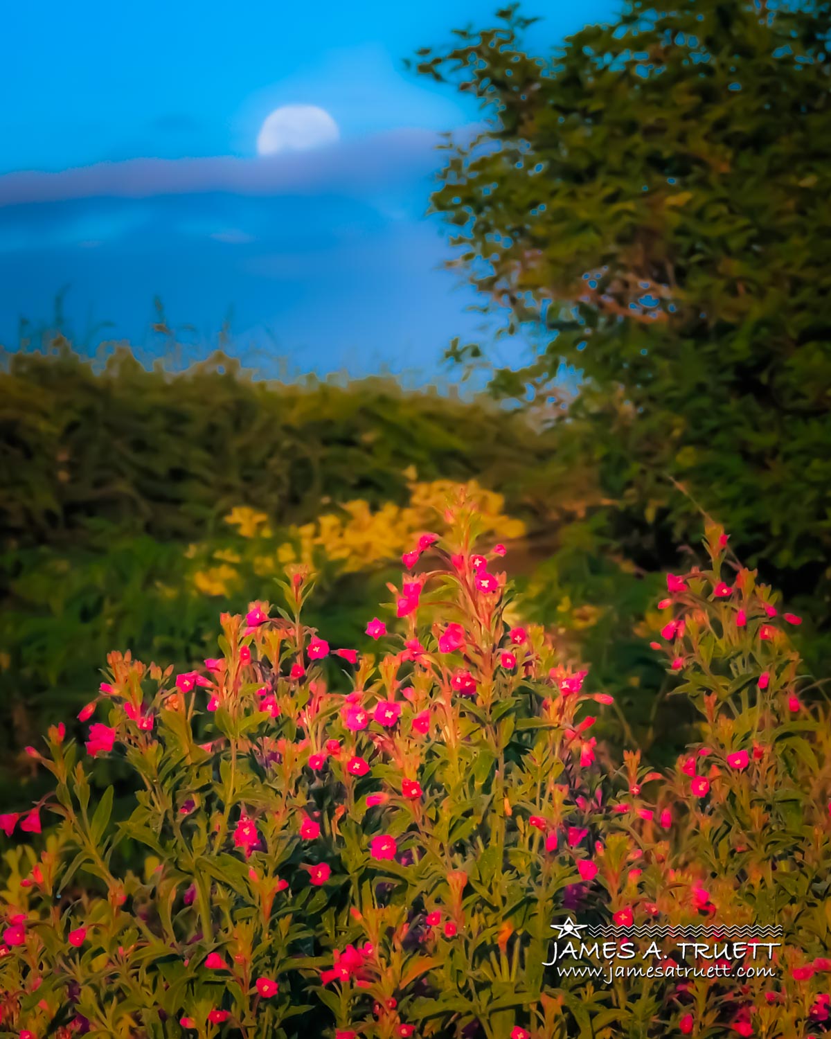 Moon Rising over County Clare