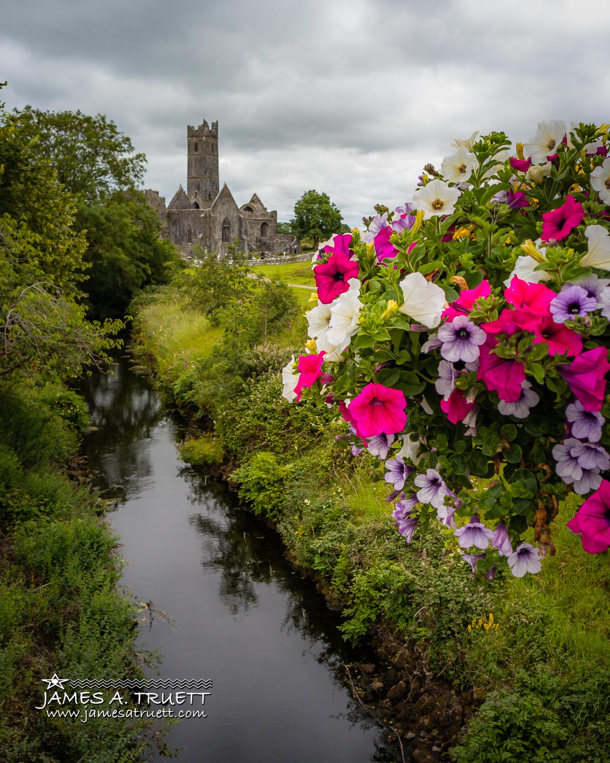 Majestic Quin Abbey